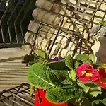 Fraifiori Locazione Breve Terni