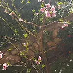 Appartamento Fraifiori Locazione Breve *