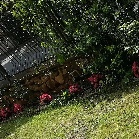 Fraifiori Locazione Breve Τέρνι