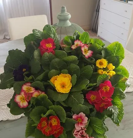 Fraifiori Locazione Breve