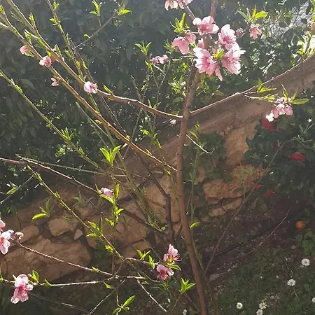 Apartman Fraifiori Locazione Breve *