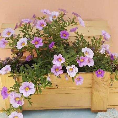 Fraifiori Locazione Breve *